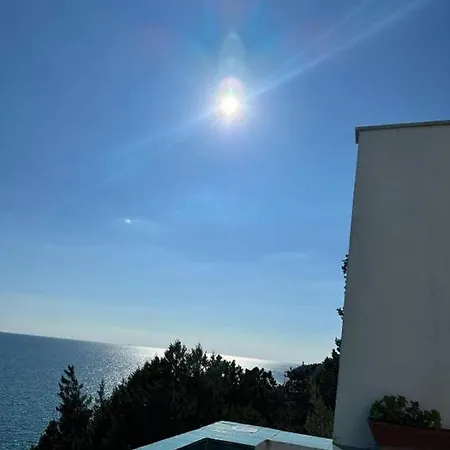 Shulman SantʼAlfonso