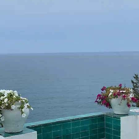 Shulman * SantʼAlfonso
