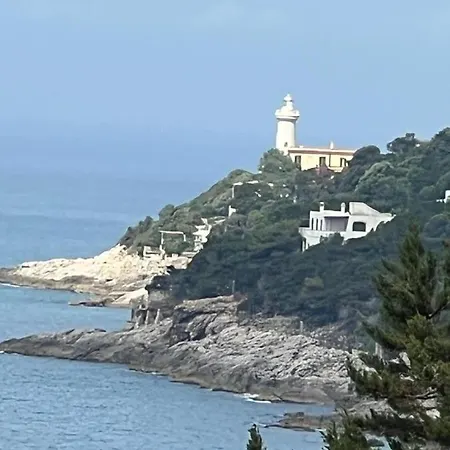 Shulman Vila SantʼAlfonso