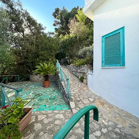 Shulman Vila *