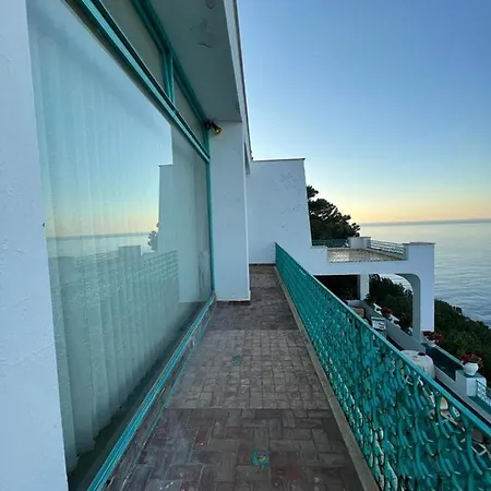 Shulman * SantʼAlfonso