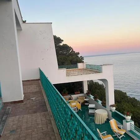 Vila Shulman