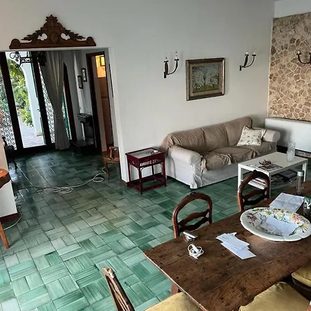 Vila Shulman