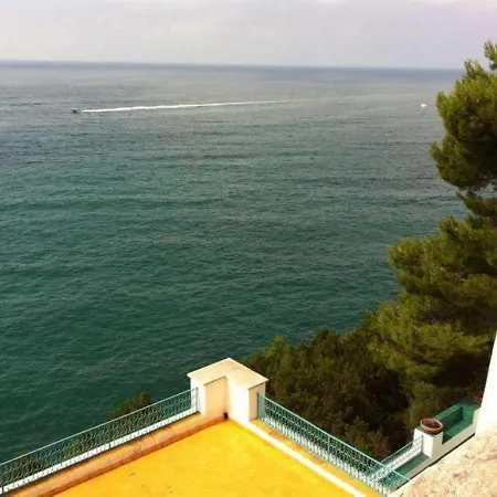 Vila Shulman