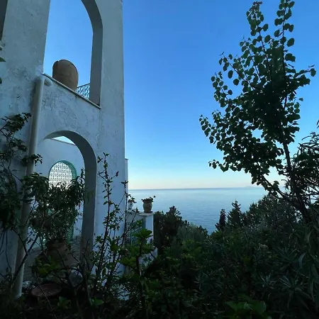 Shulman Vila SantʼAlfonso