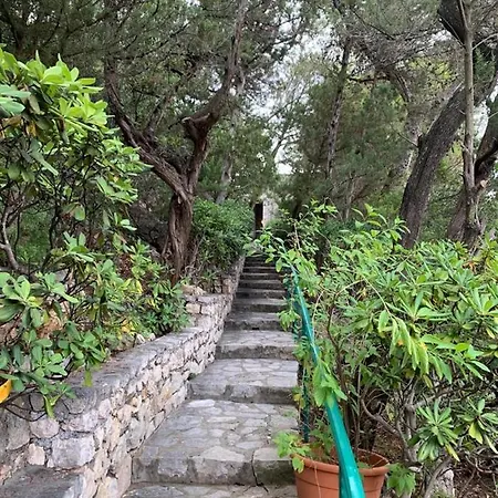 Shulman Vila SantʼAlfonso